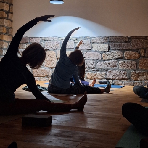 e1667977-203e-4b95-8d37-ff77353eccaf